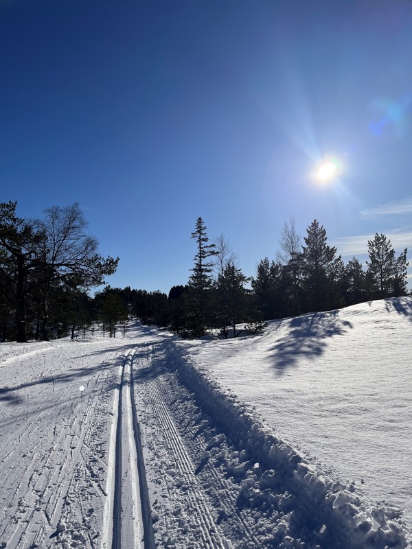 Skiing